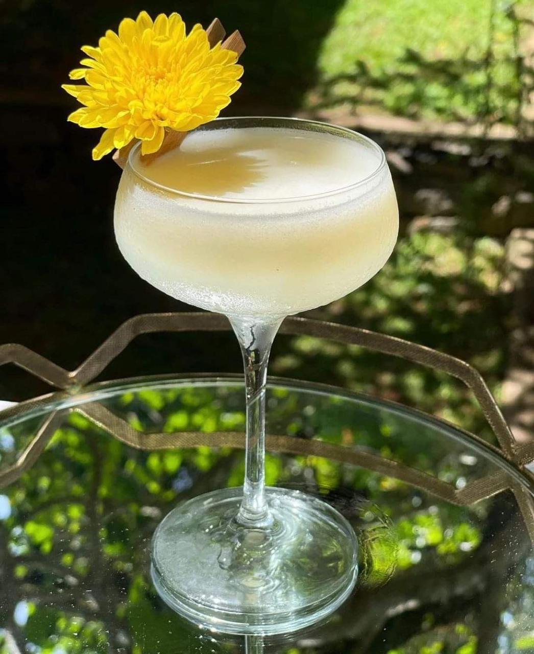 WhatsApp Image 2025-09-15 at 12.35.48 PM